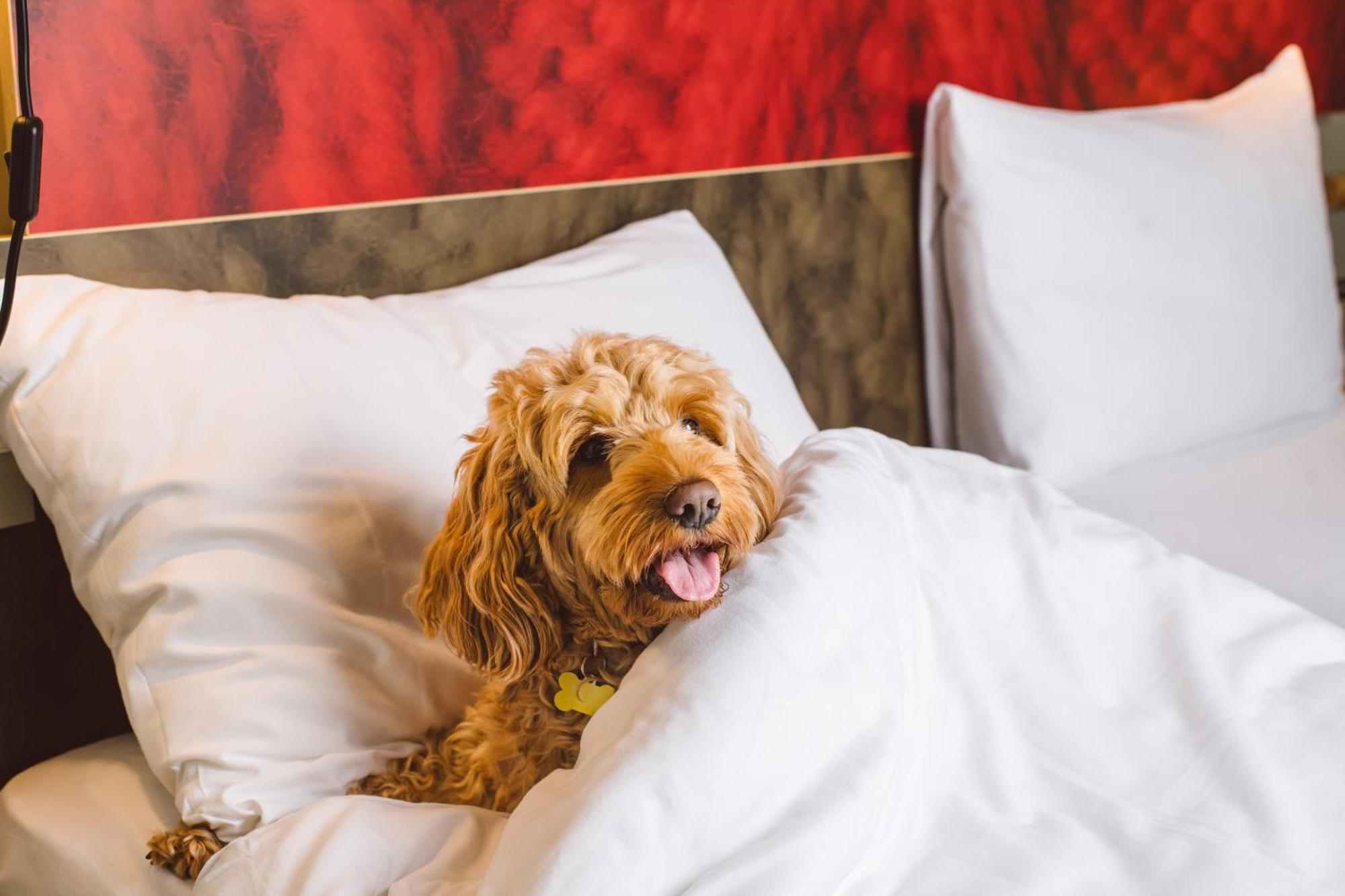 Ibis Excel-docklands Londra