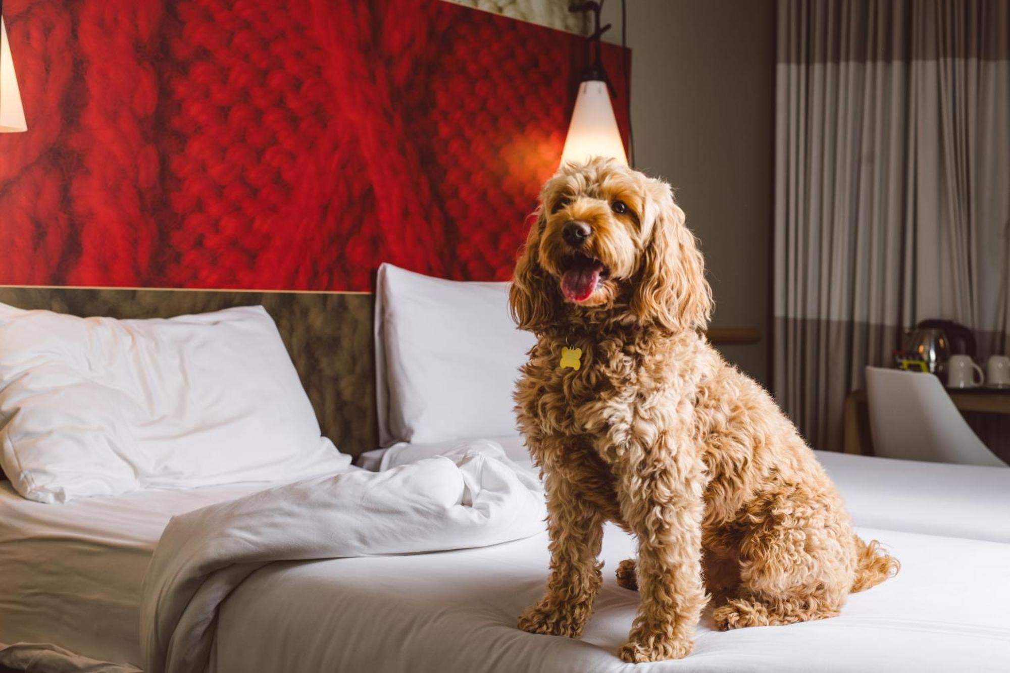 Ibis Excel-docklands
