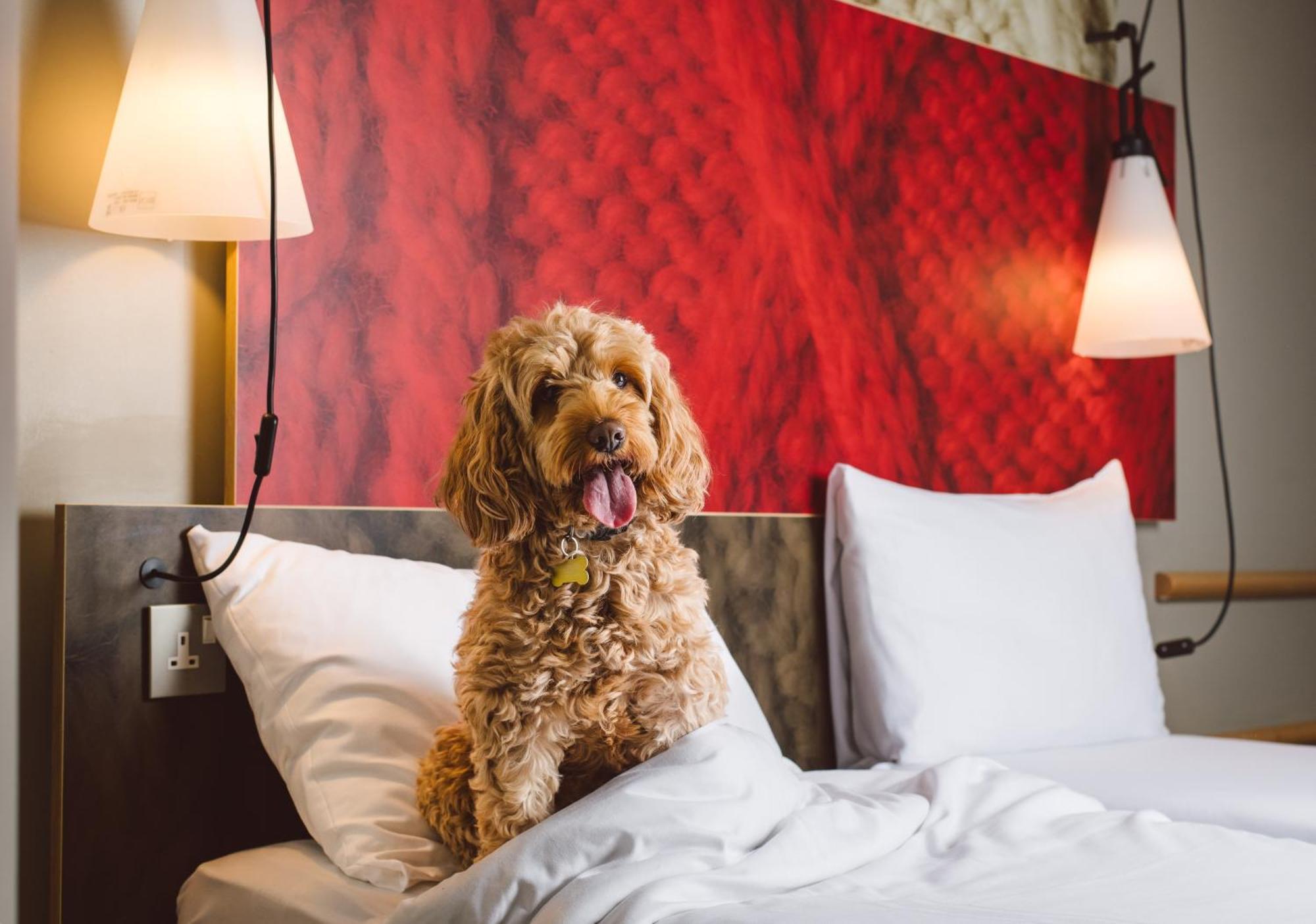 Ibis Excel-docklands Londra